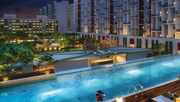 project_overview_img